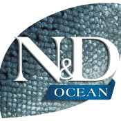 Ocean 海洋系列